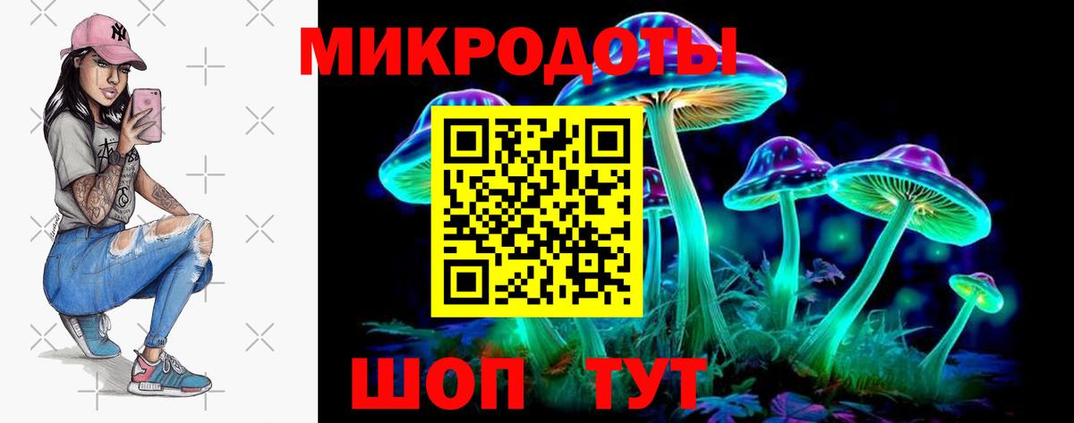 купить закладку  Вход с VPN  Смоленск  Псилоцибиновые грибы мицелий 